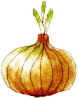 onion01.gif
