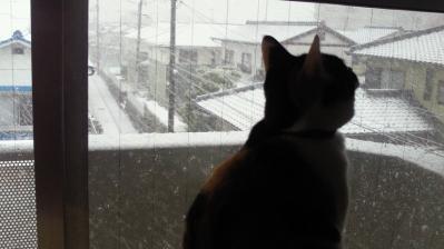 201102120918001.jpg