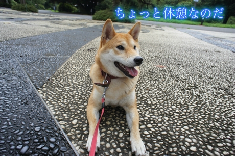 20110730143045.jpg