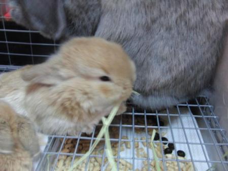13_20120302163835.jpg