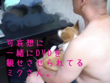 ミクとパパ
