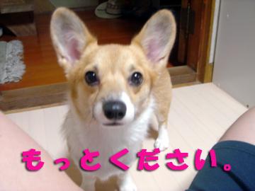 催促するミクさん