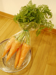 vegetableDyeingCarrot2011-01.jpg