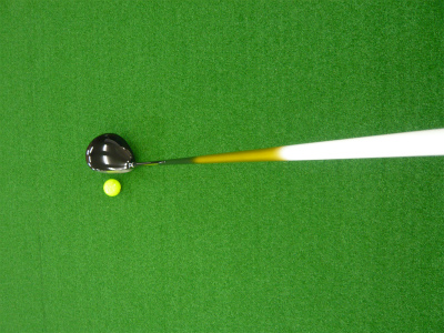 P1110241.jpg