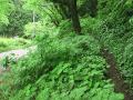 旧吹上隧道8