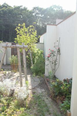 2011 8 garden
