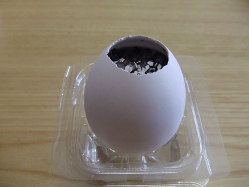 egg4-1.jpg