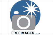 Free Images - Free Stock Photos