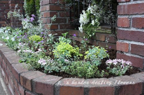 T’s Garden Healing Flowers‐花壇の植え込み仕事