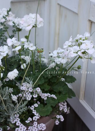 T’s Garden Healing Flowers‐白の寄せ植え大鉢