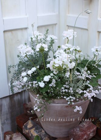 T’s Garden Healing Flowers‐白の寄せ植え大鉢
